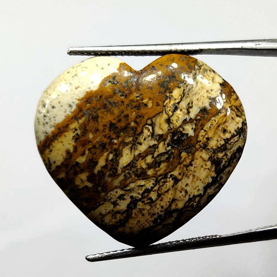 25.30 ct Natural Picture Jasper (1 of 2)