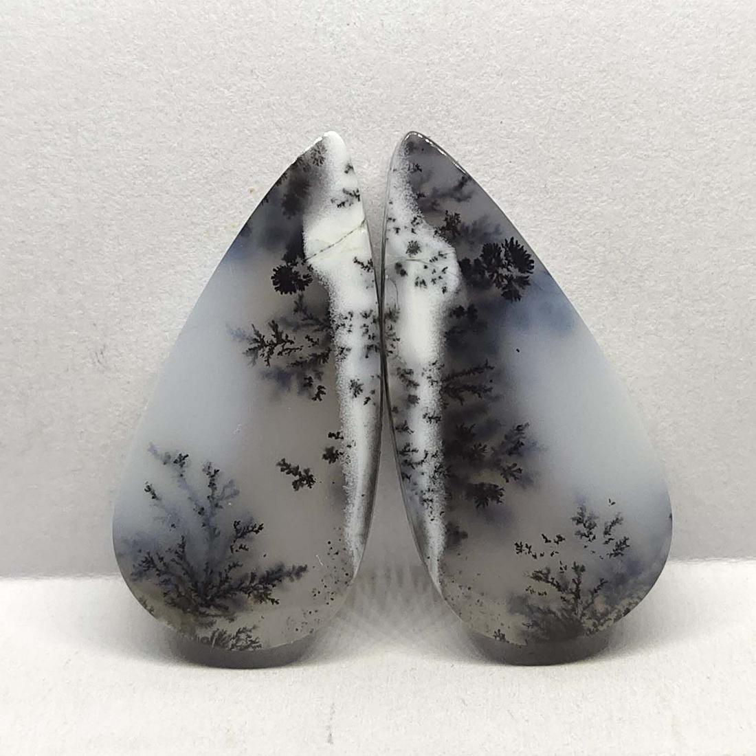 25.10 ct Natural Dendritic Agate Pair (1 of 2)