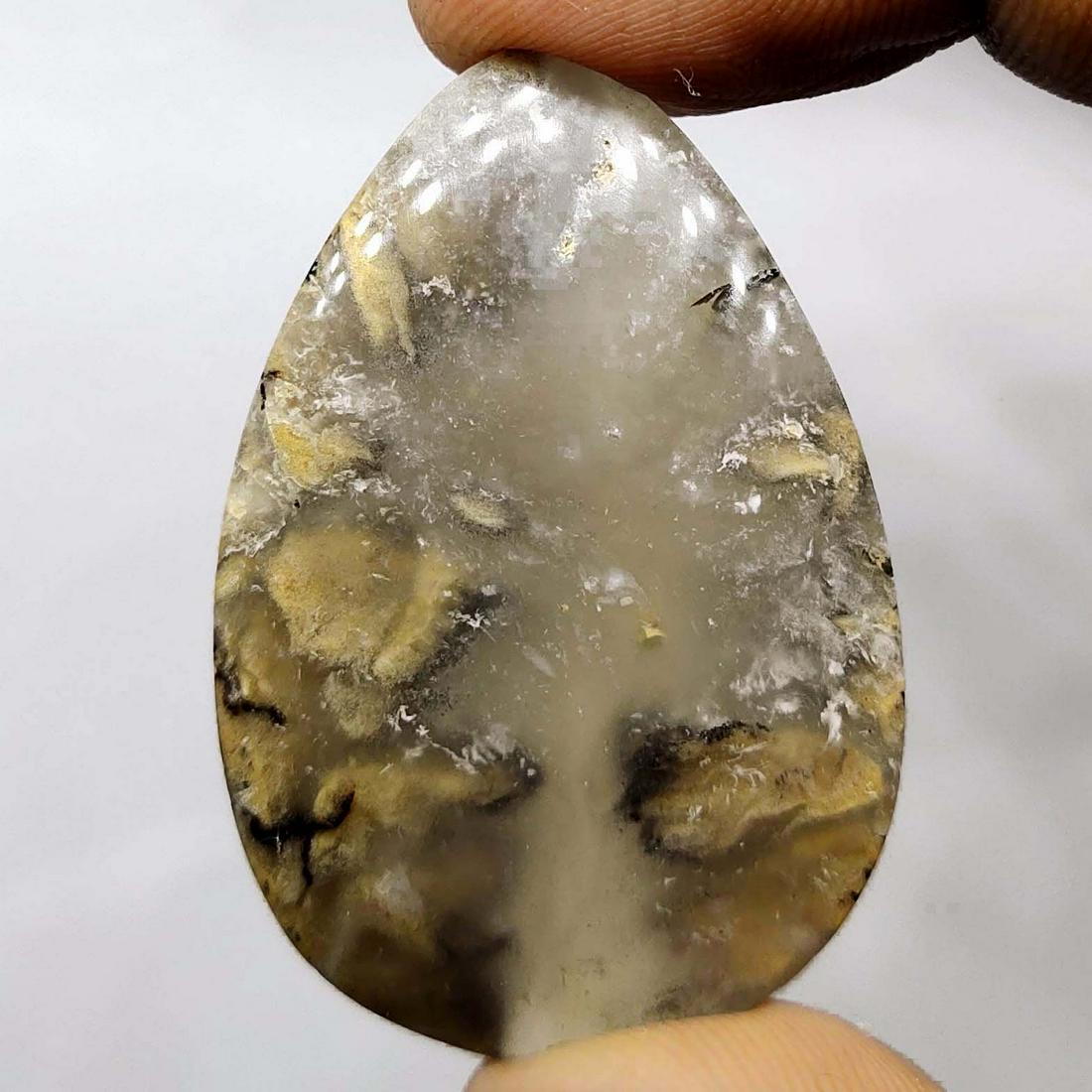 79.85 ct Natural Tiger Dendritic Agate (1 of 2)