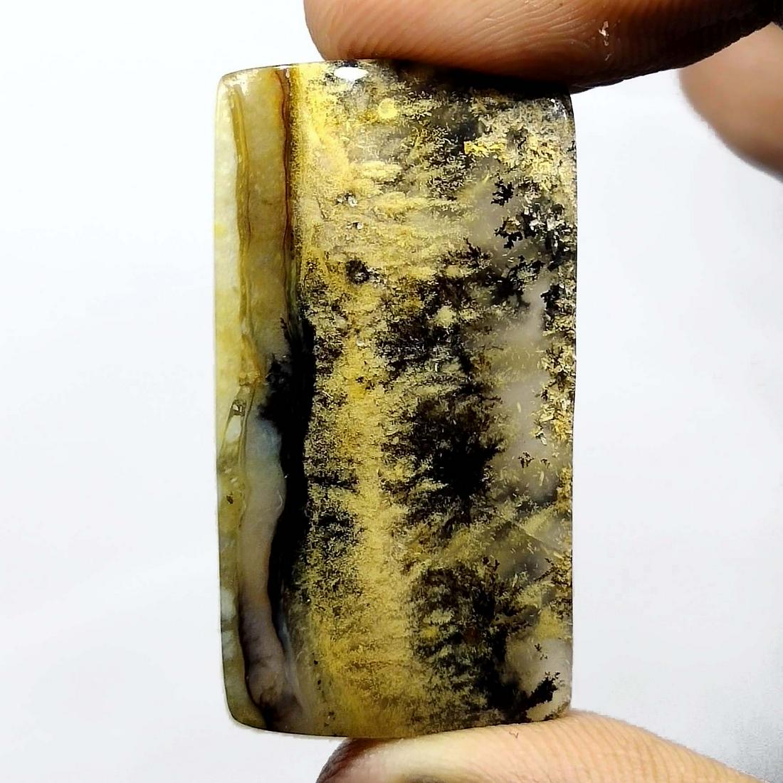 36.90 ct Natural Tiger Dendrite Agate (1 of 2)
