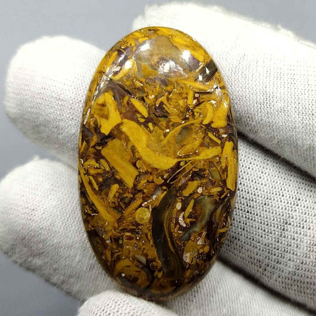 46.85 ct Natural Mariam Jasper Big (1 of 2)