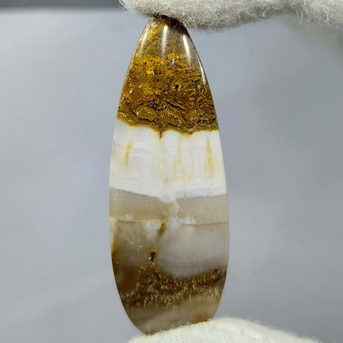 30.65 Ct Natural Opalized Wood (1 of 2)