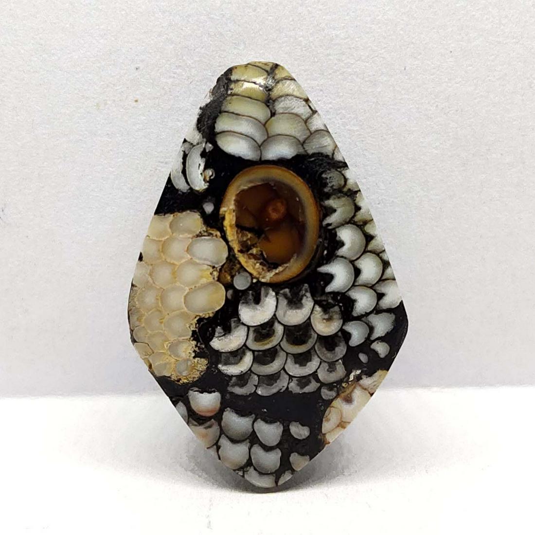 12.25 ct Natural Snake Skin Fossil (1 of 2)