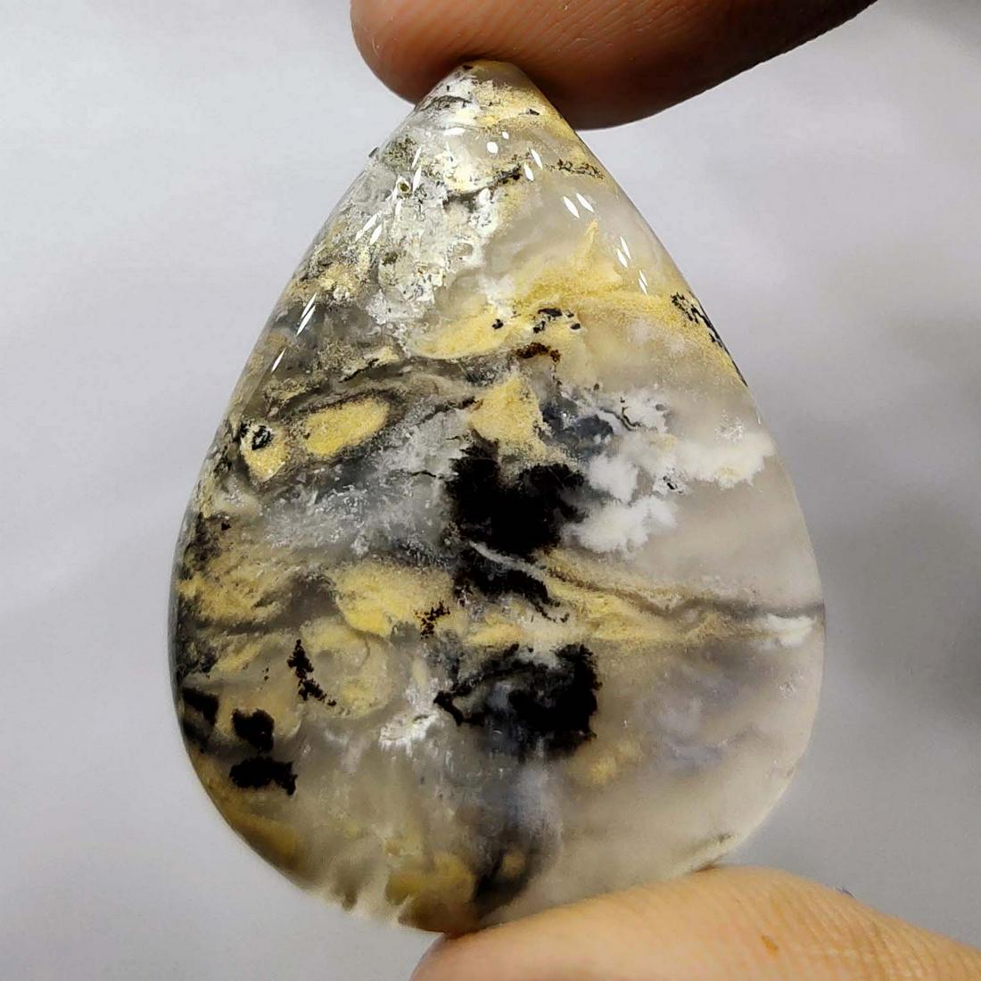 39.15 ct Natural Tiger Dendrite Agate (1 of 2)