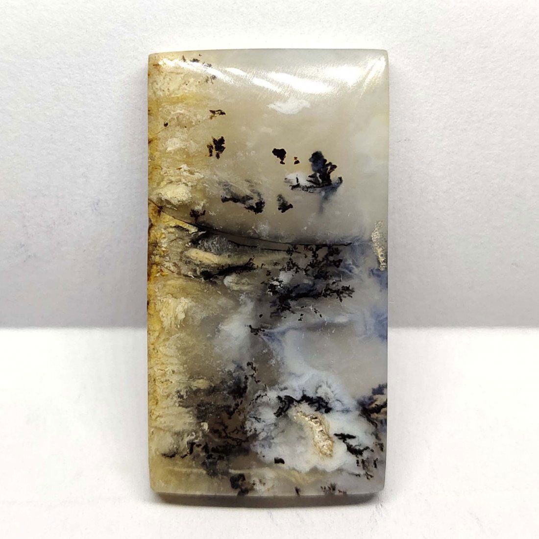 38.7 ct Natural Tiger Dendrite agate (1 of 2)