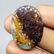 32.70 ct Natural Opalized Wood