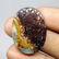 32.70 ct Natural Opalized Wood - 2