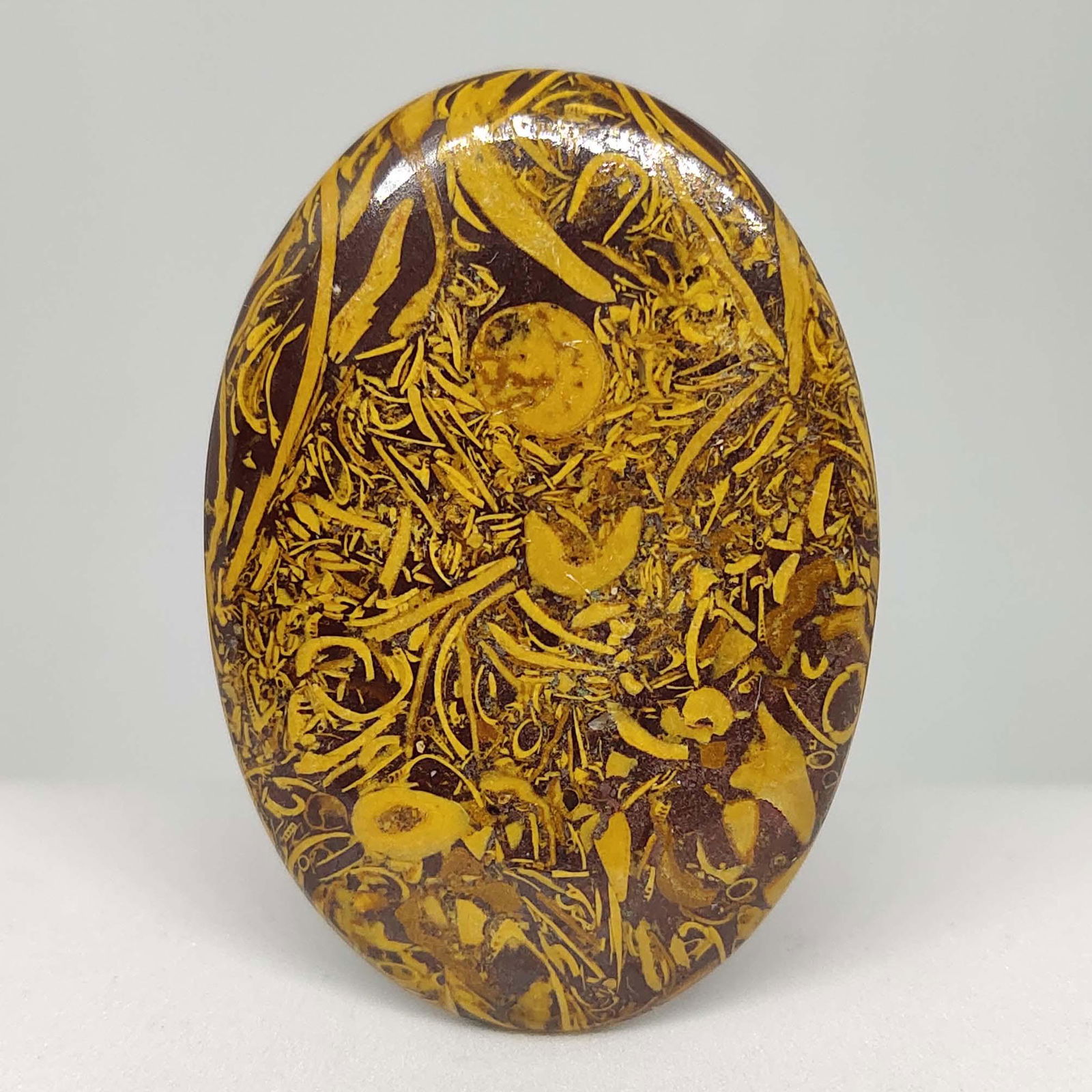 50.15 ct Natural Mariam Jasper (1 of 2)