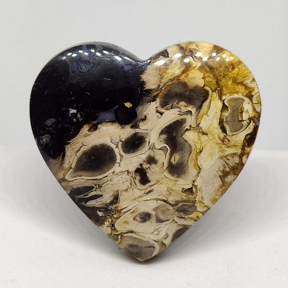 89.85 ct Natural Palm Root Fossil (1 of 2)