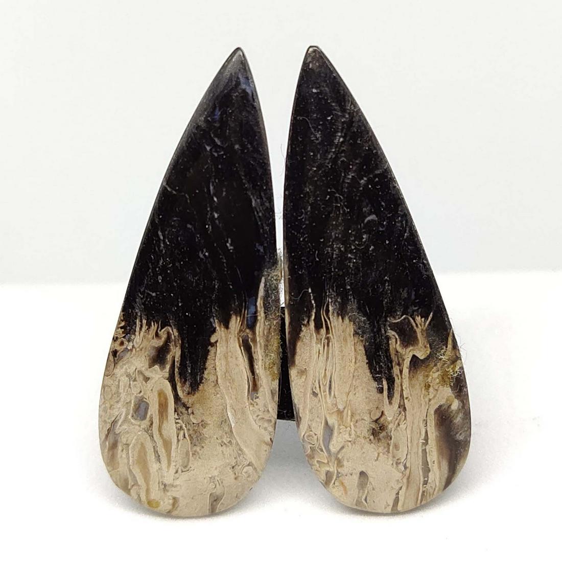 27.35 ct Natural Palm Root Fossil Pair (1 of 3)
