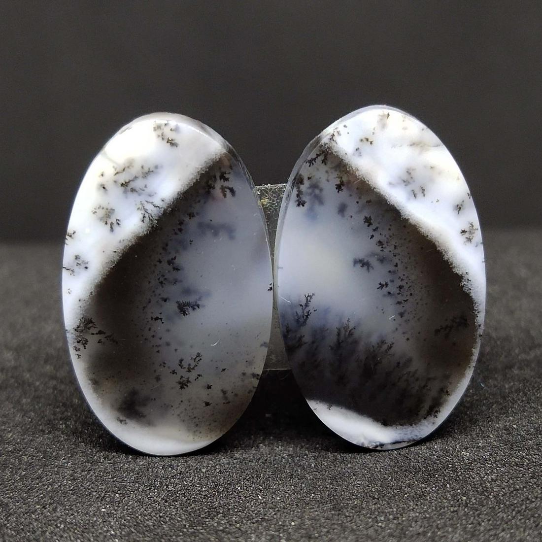 19.40 ct Natural Dendrite Agate Small Size Pair (1 of 2)