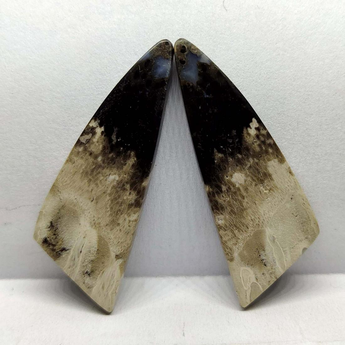 17.5 ct Natural Palm Root Fossil Pair (1 of 2)