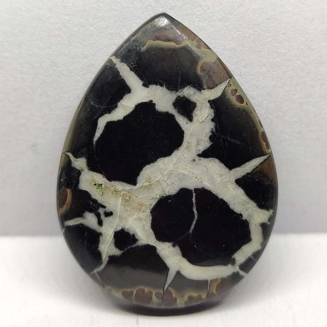 34.10 ct Natural Septarian (1 of 2)