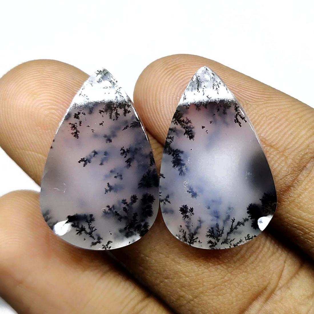 23.00 ct Natural Dendrite Agate (1 of 3)