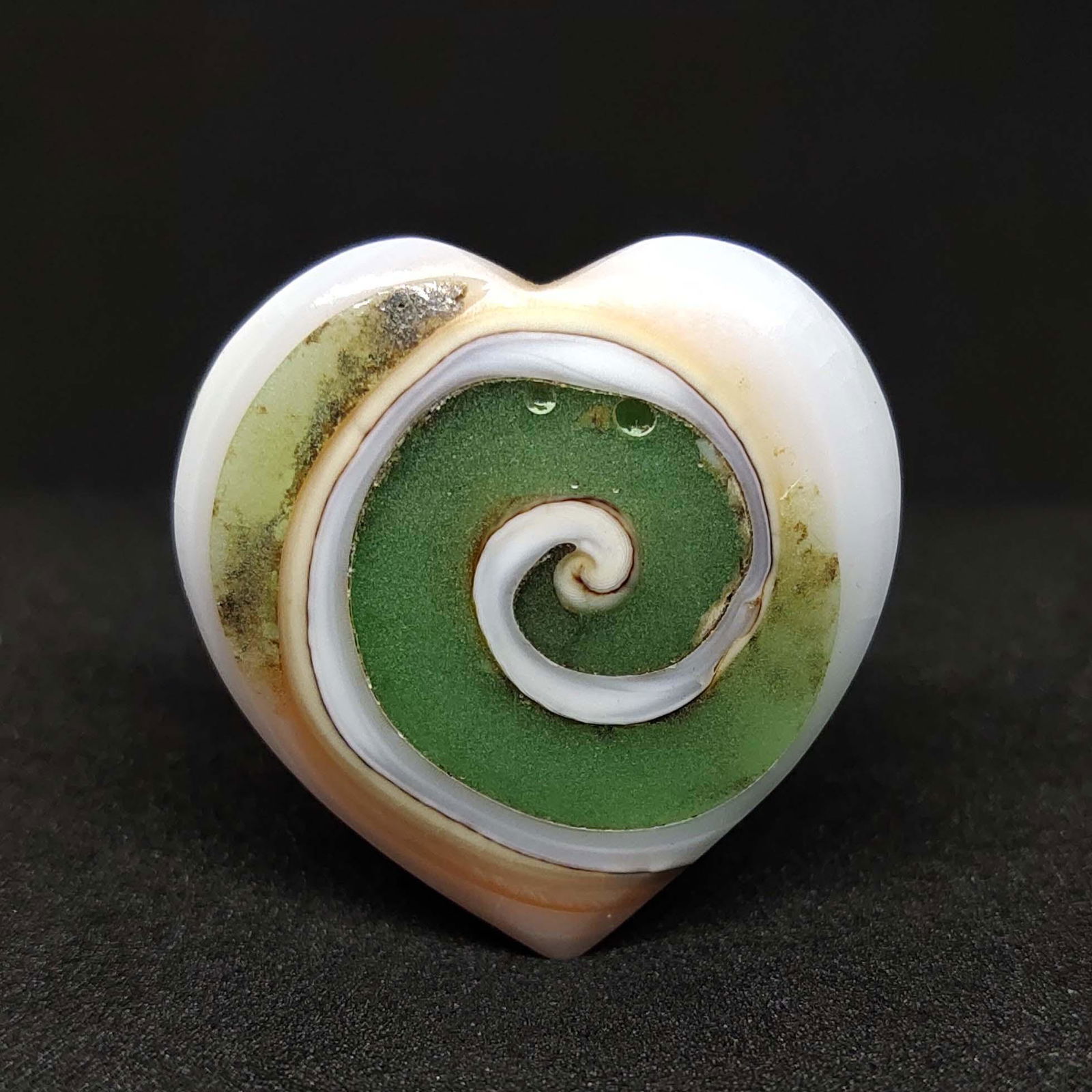 24.30 ct Very Rare Natural Fossil Snail (1 of 2)