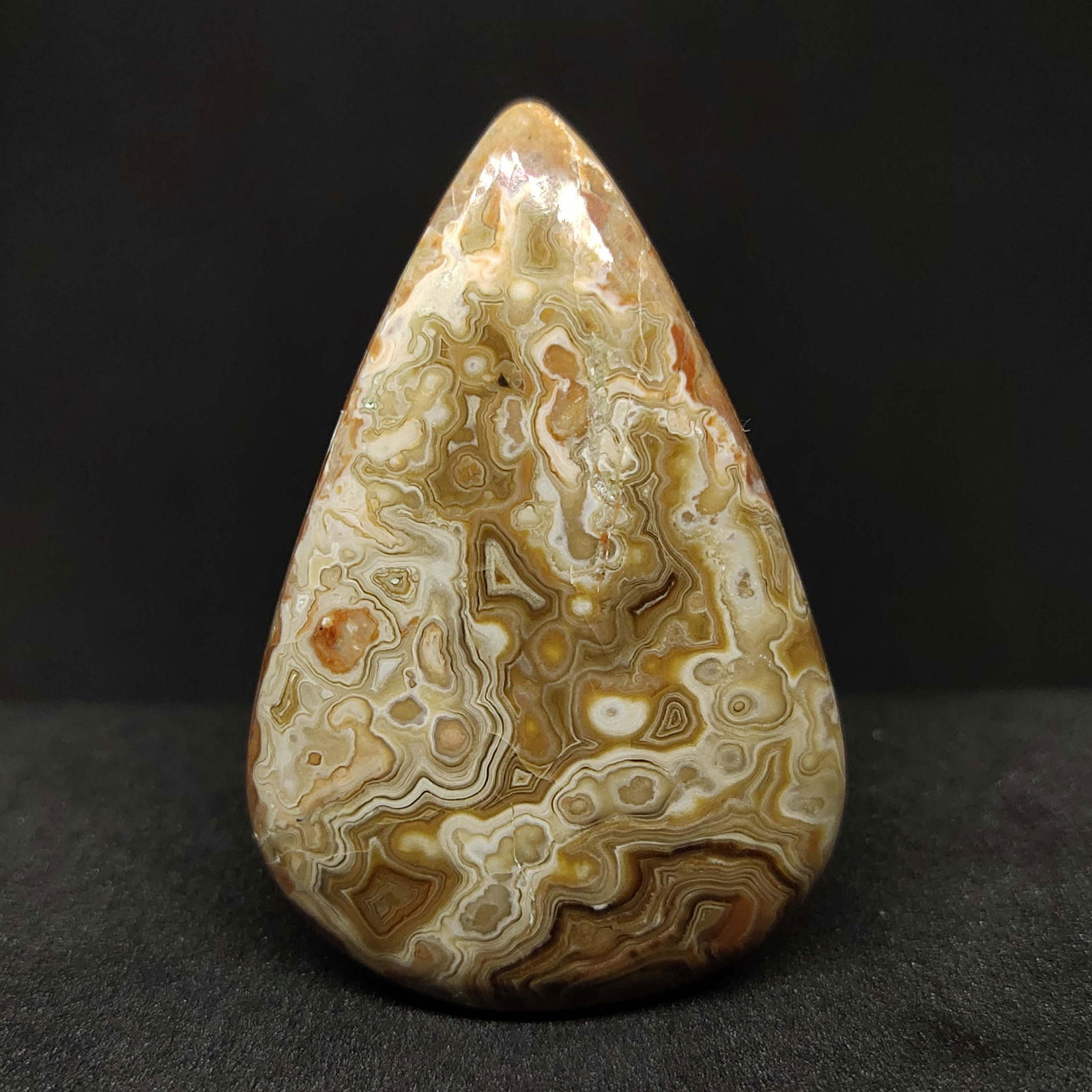 50.65 ct Natural Palm Root Agate (1 of 2)