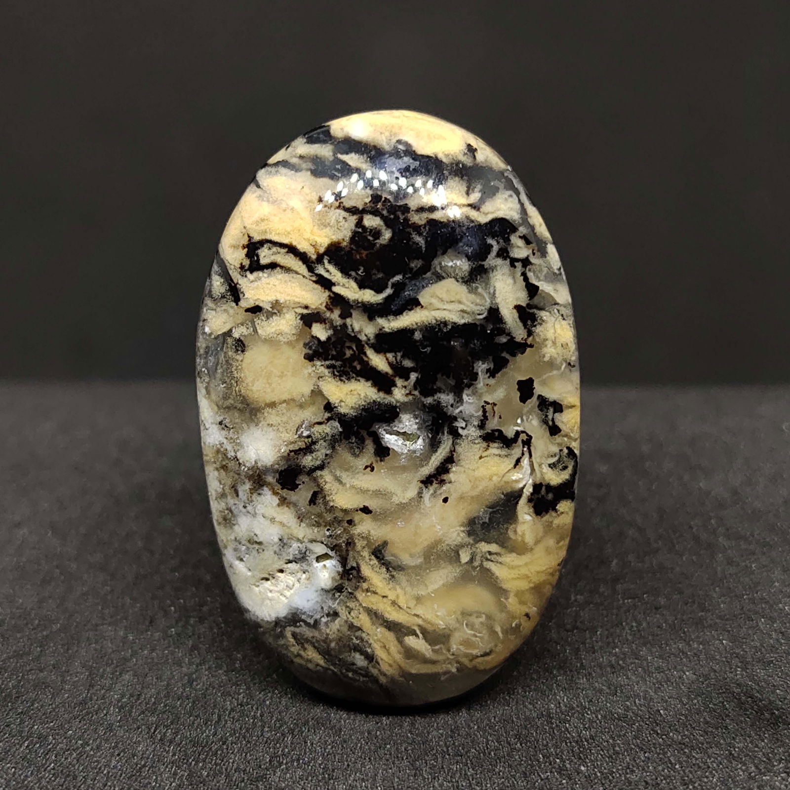 38.00 ct Natural Tiger Dendrite Agate (1 of 2)