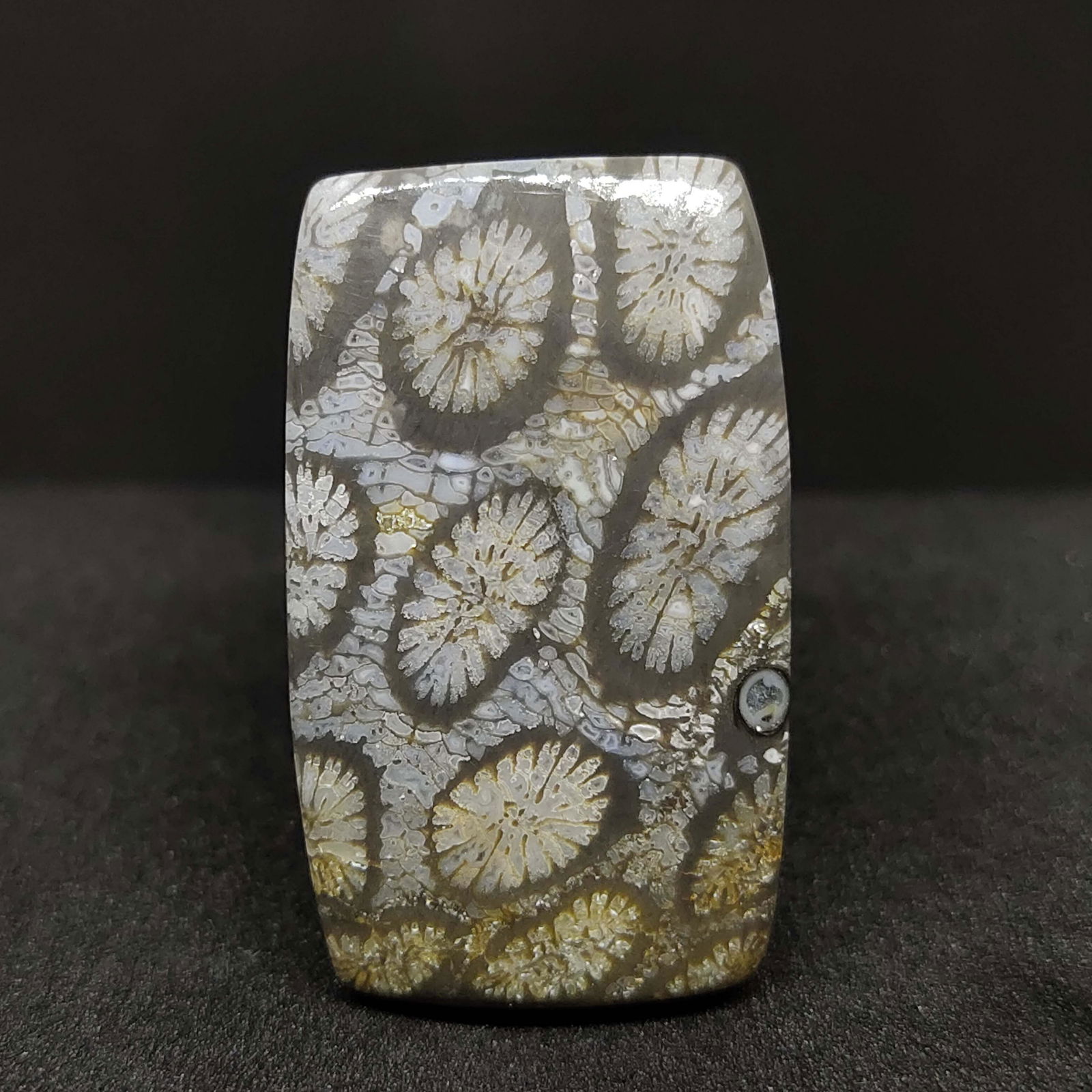 34.30 ct Natural Fossil Coral (1 of 2)