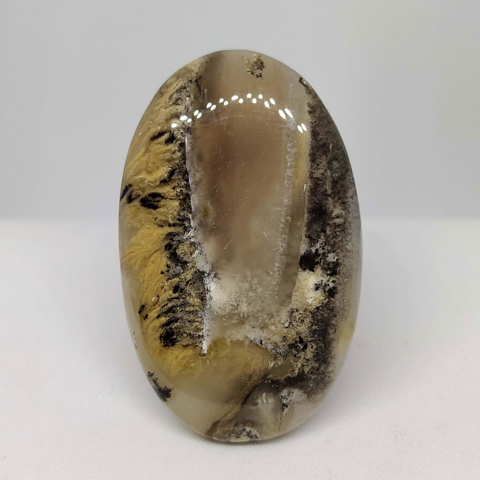 56.70 ct Natural Tiger Dendrite Agate (1 of 2)