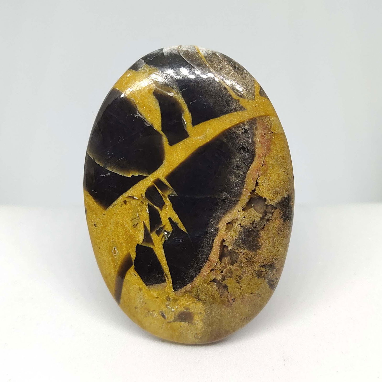 72.32 ct Natural Leopard Skin Jasper (1 of 2)
