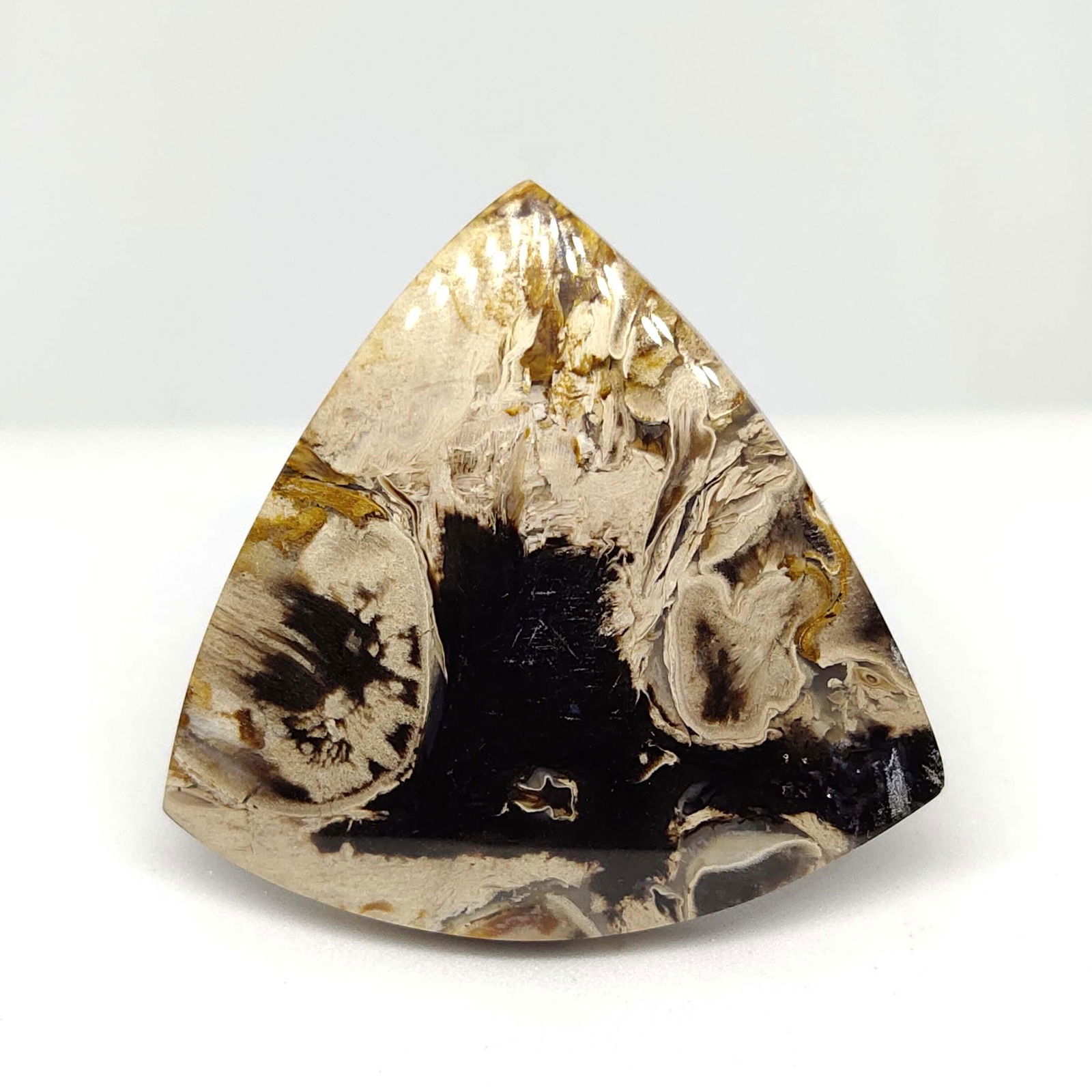 60.40 ct  Natural Palm Root Fossil (1 of 2)