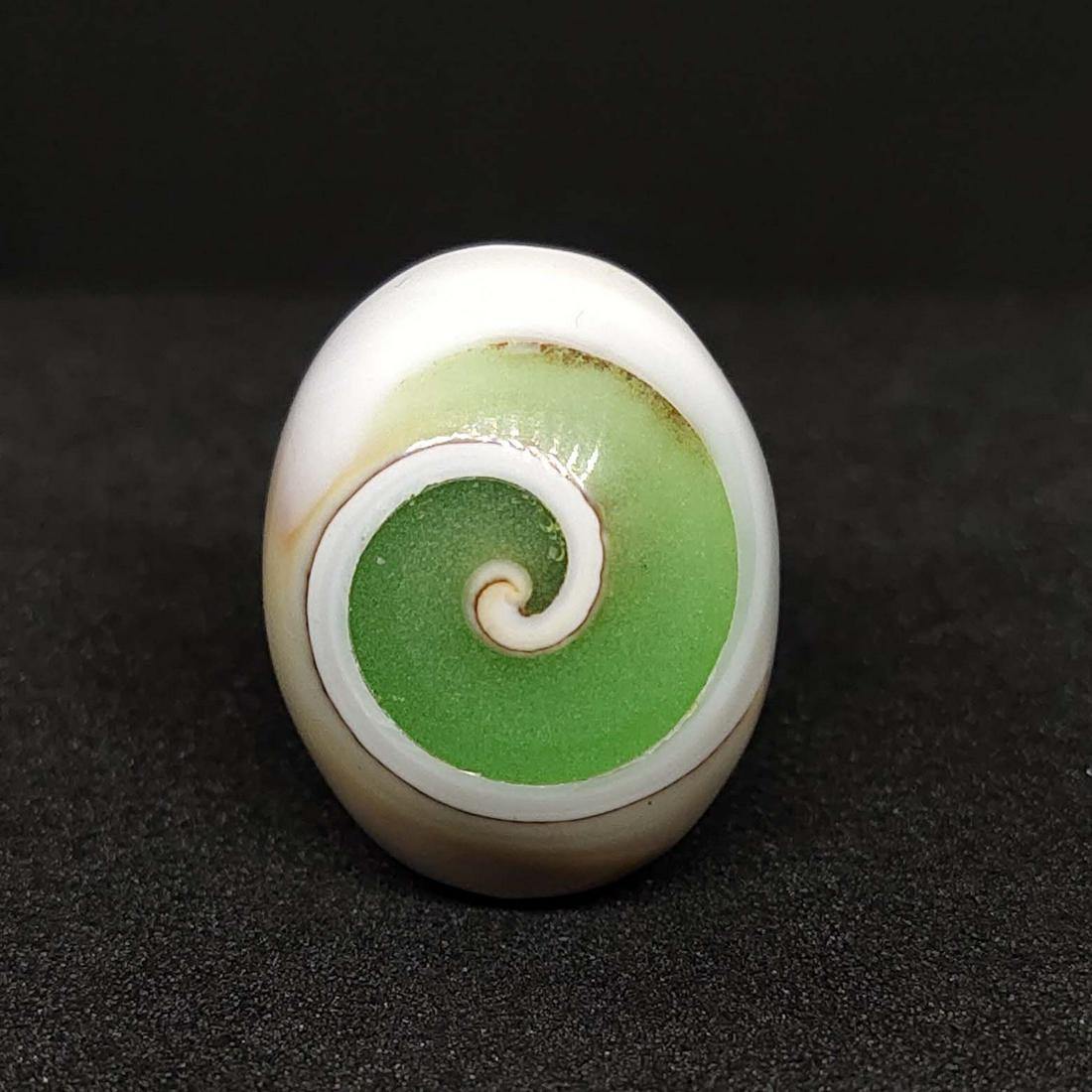 11.00 ct Natural Snail Fossil (1 of 2)