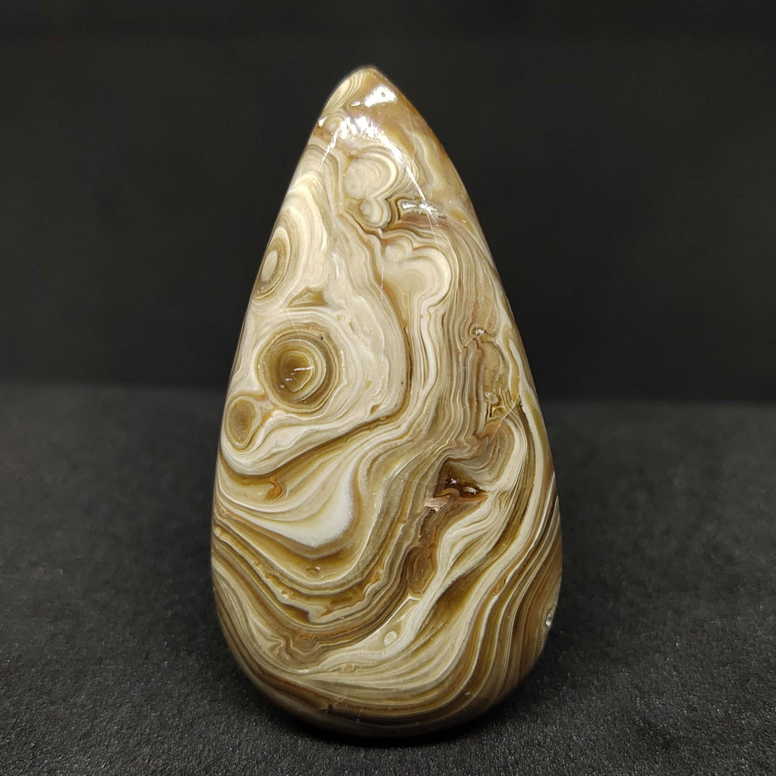 44.75 ct Natural Palm Root Agate (1 of 1)