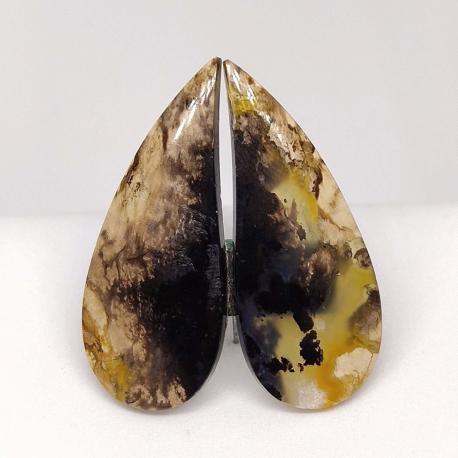 30.50 ct Natural Palm Root Fossil Pair (1 of 2)