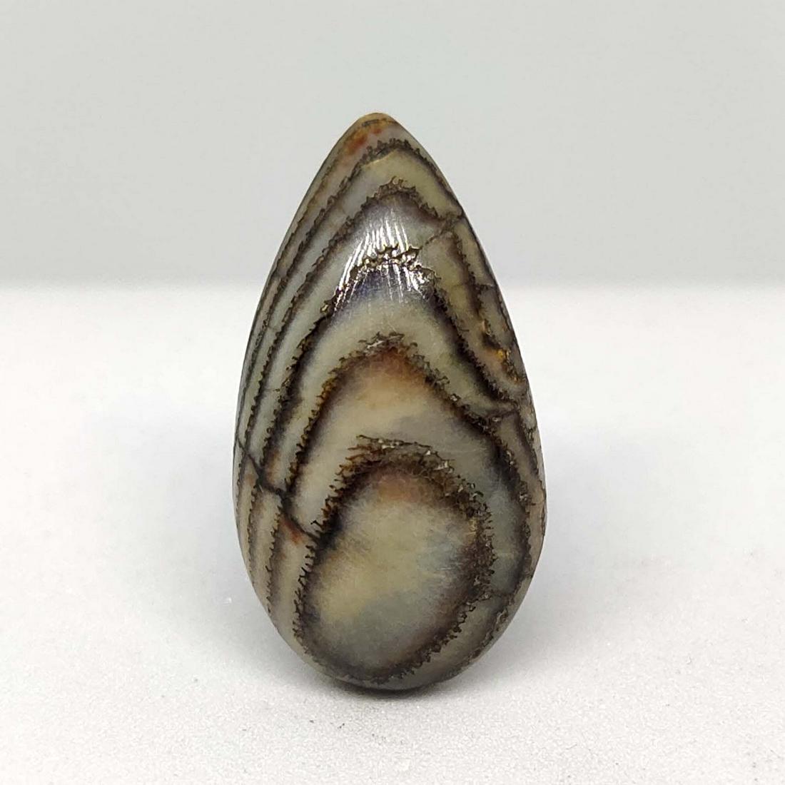 11.75 ct Natural Snake Skin Fossil (1 of 2)