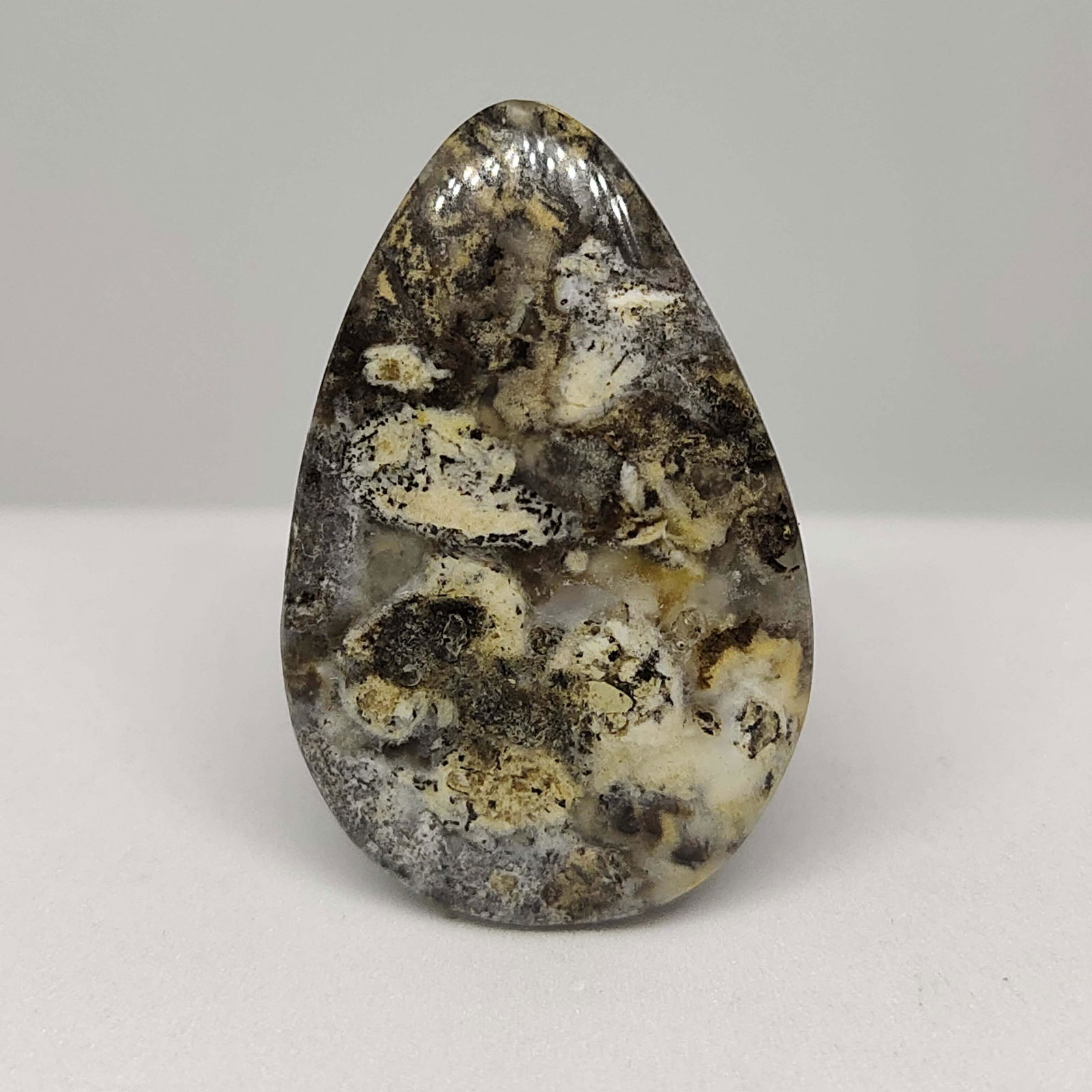 27.70 ct Natural Tiger Dendrite (1 of 1)