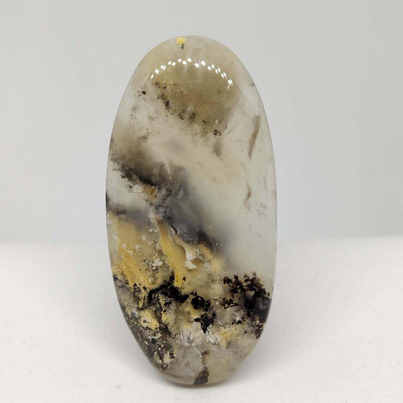 53.3 ct Natural Tiger Dendrite Agate (1 of 1)