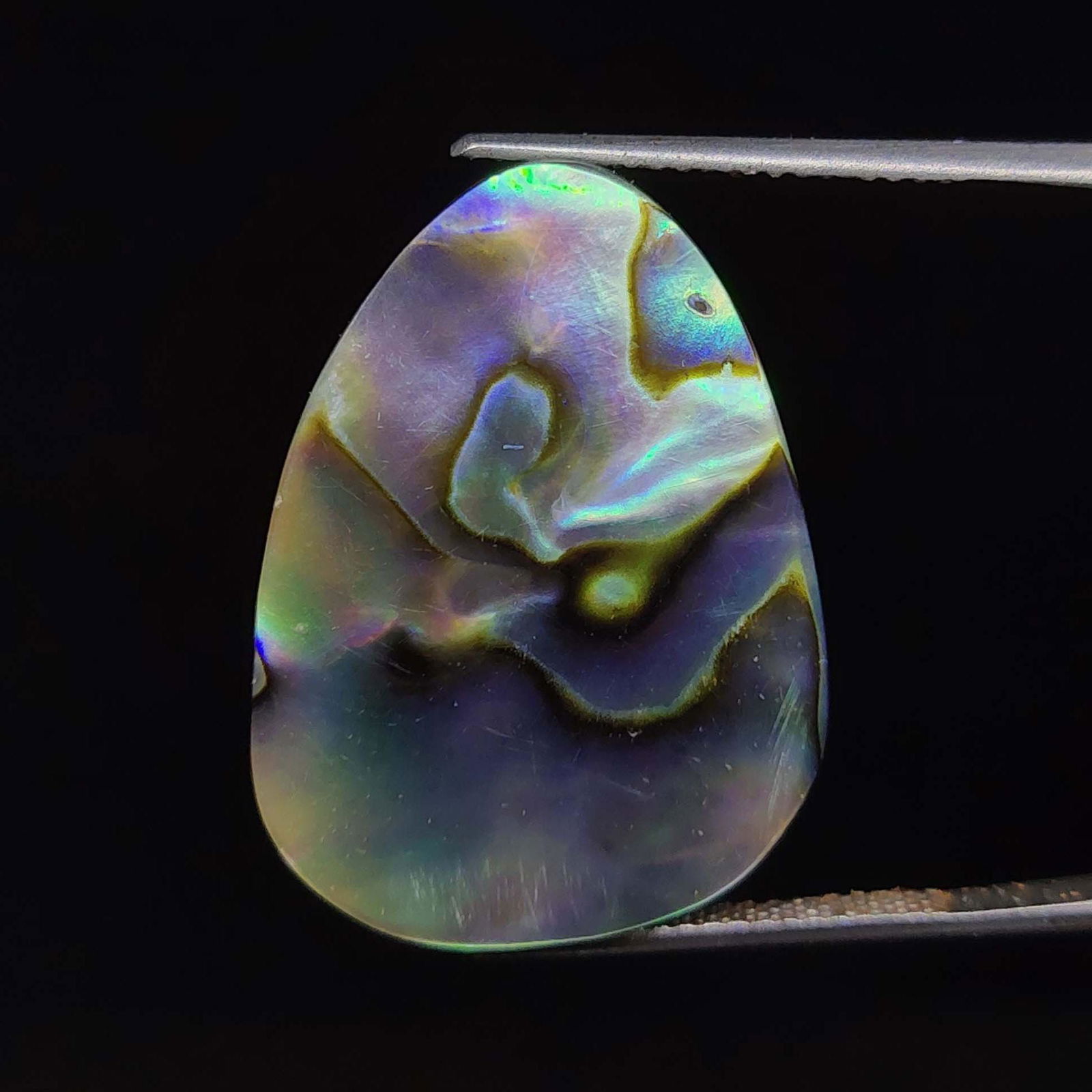 17.50 ct Natural Abalone Shell (1 of 1)