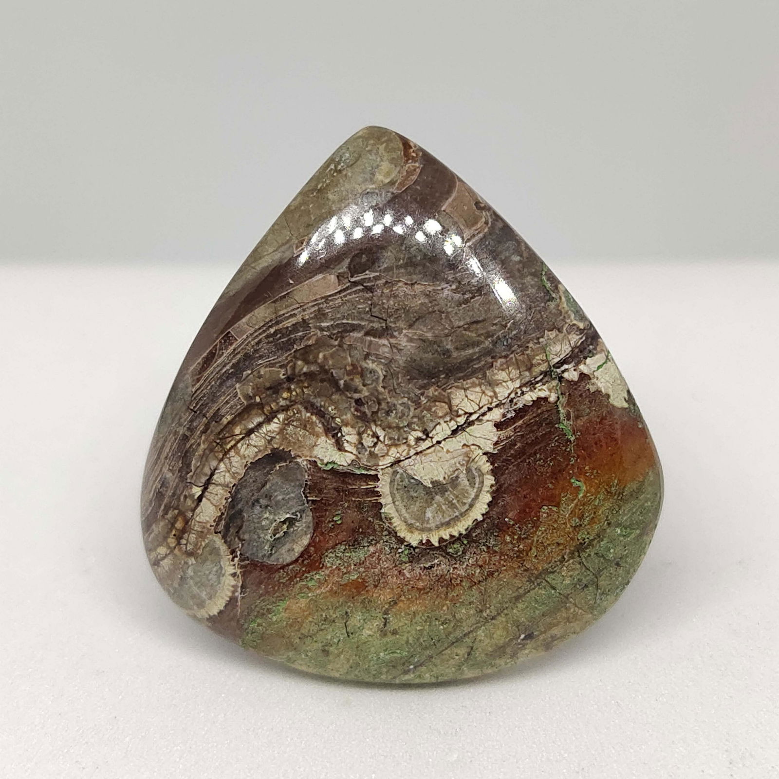 28.30 ct Natural Mushroom Jasper: Natural Mushroom Jasper with an exact weight is 28.30 ct.Top Quality stone