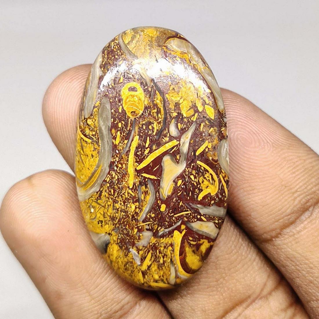 46.55 ct Natural Mariam Jasper (1 of 2)