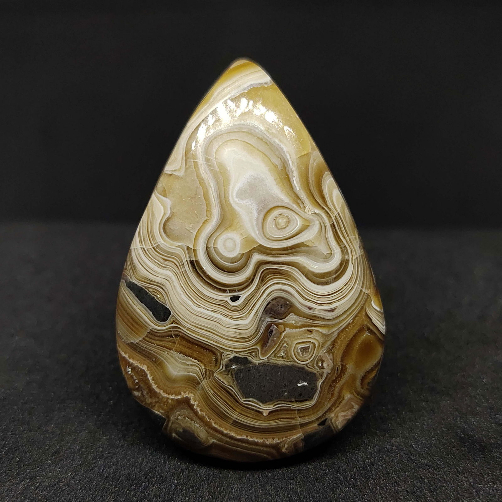 35.9 ct Natural Palm Root Agate (1 of 1)