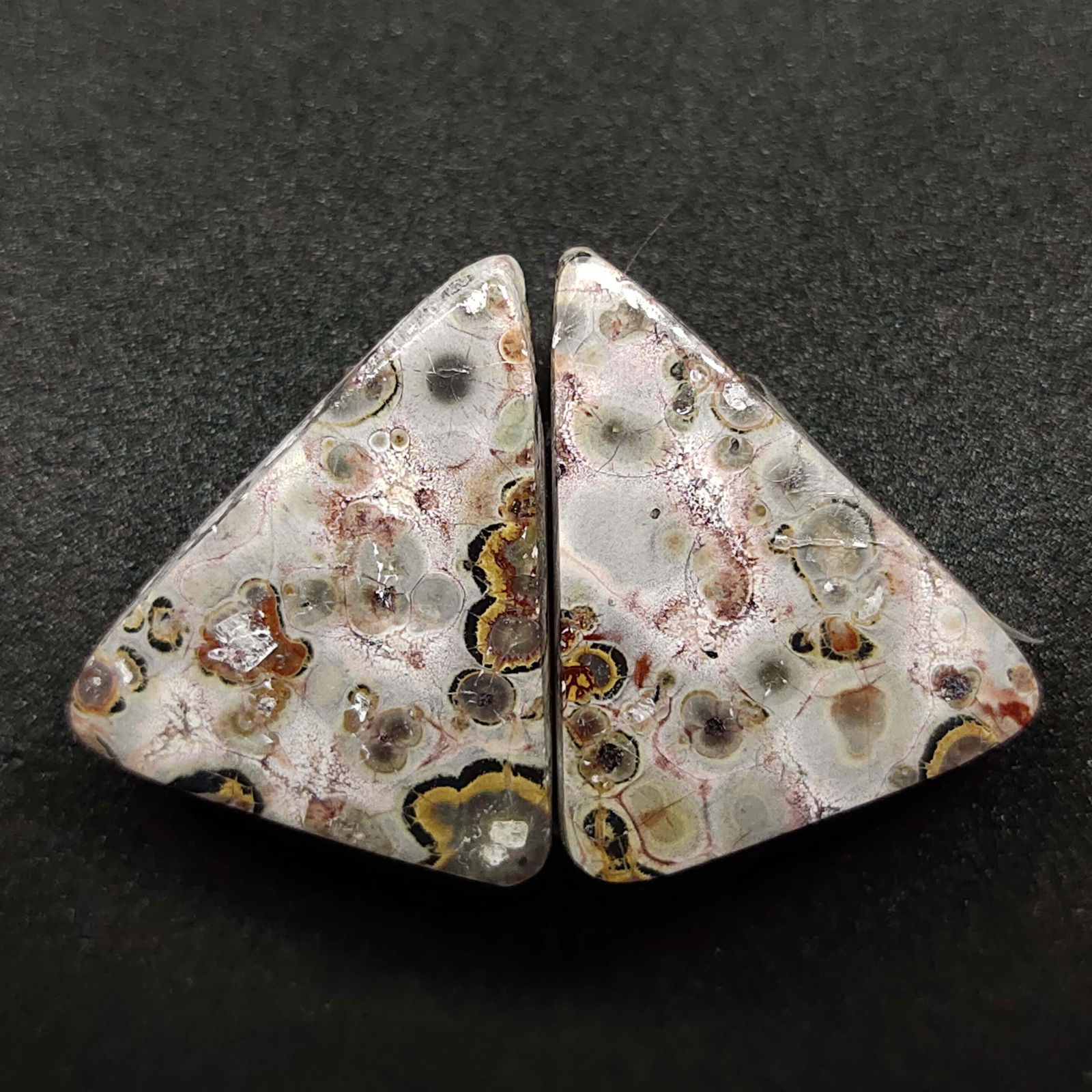 24.40 ct Natural Leopard Skin Jasper Pair (1 of 2)