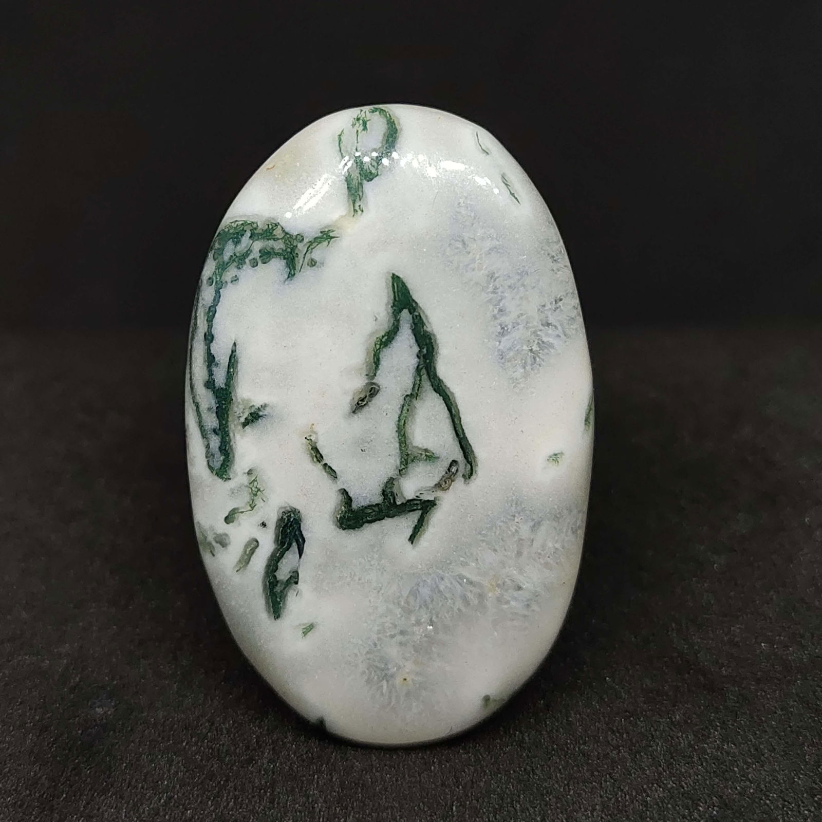 37.50 ct Natural Tree Agate (1 of 2)