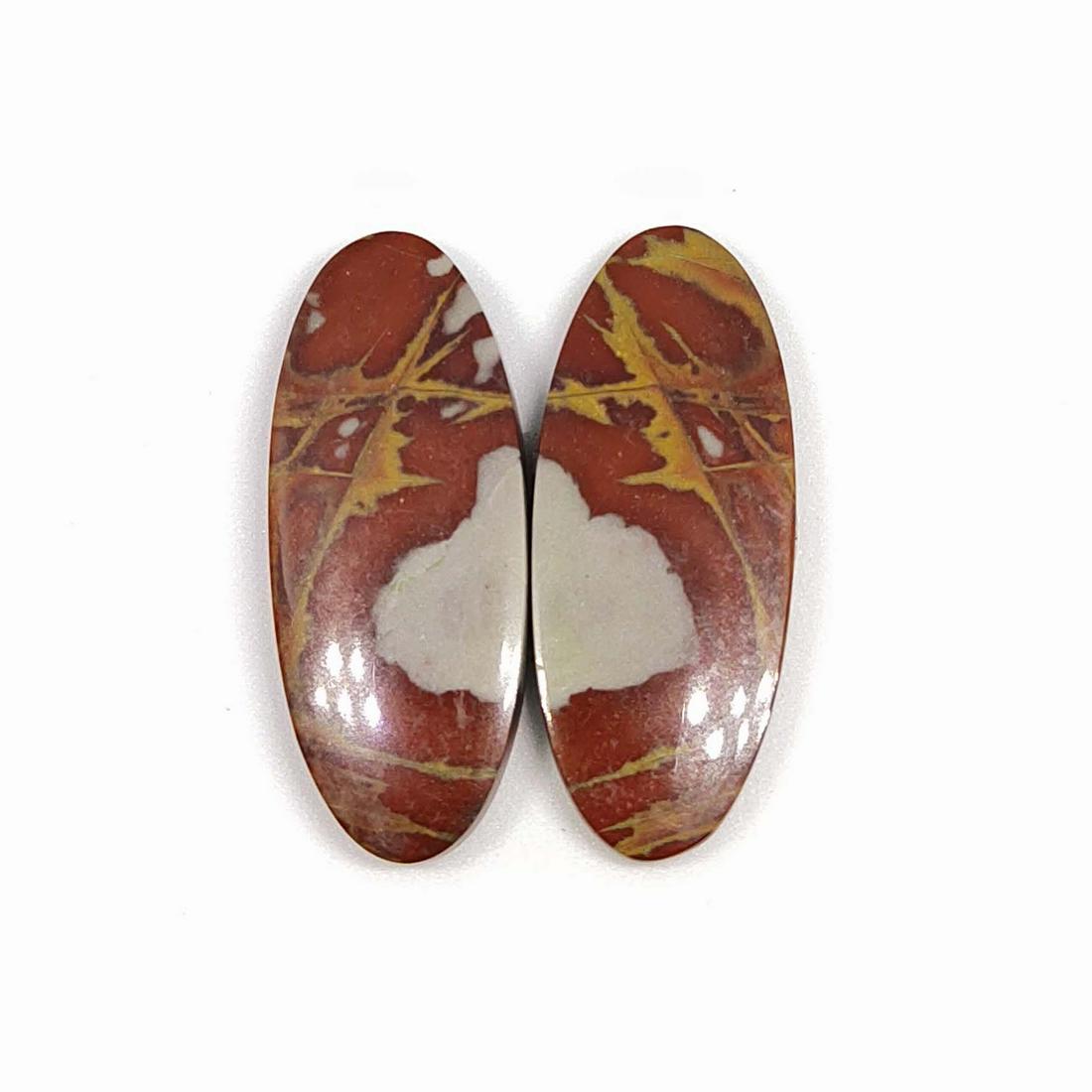 29.35 ct Natural Noreena Jasper Pair (1 of 1)