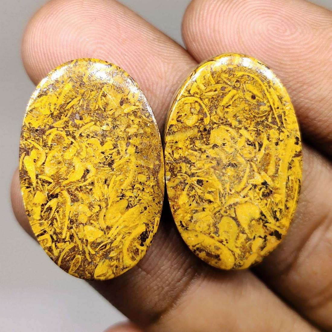 41.20 Natural Mariam Jasper Pair (1 of 1)