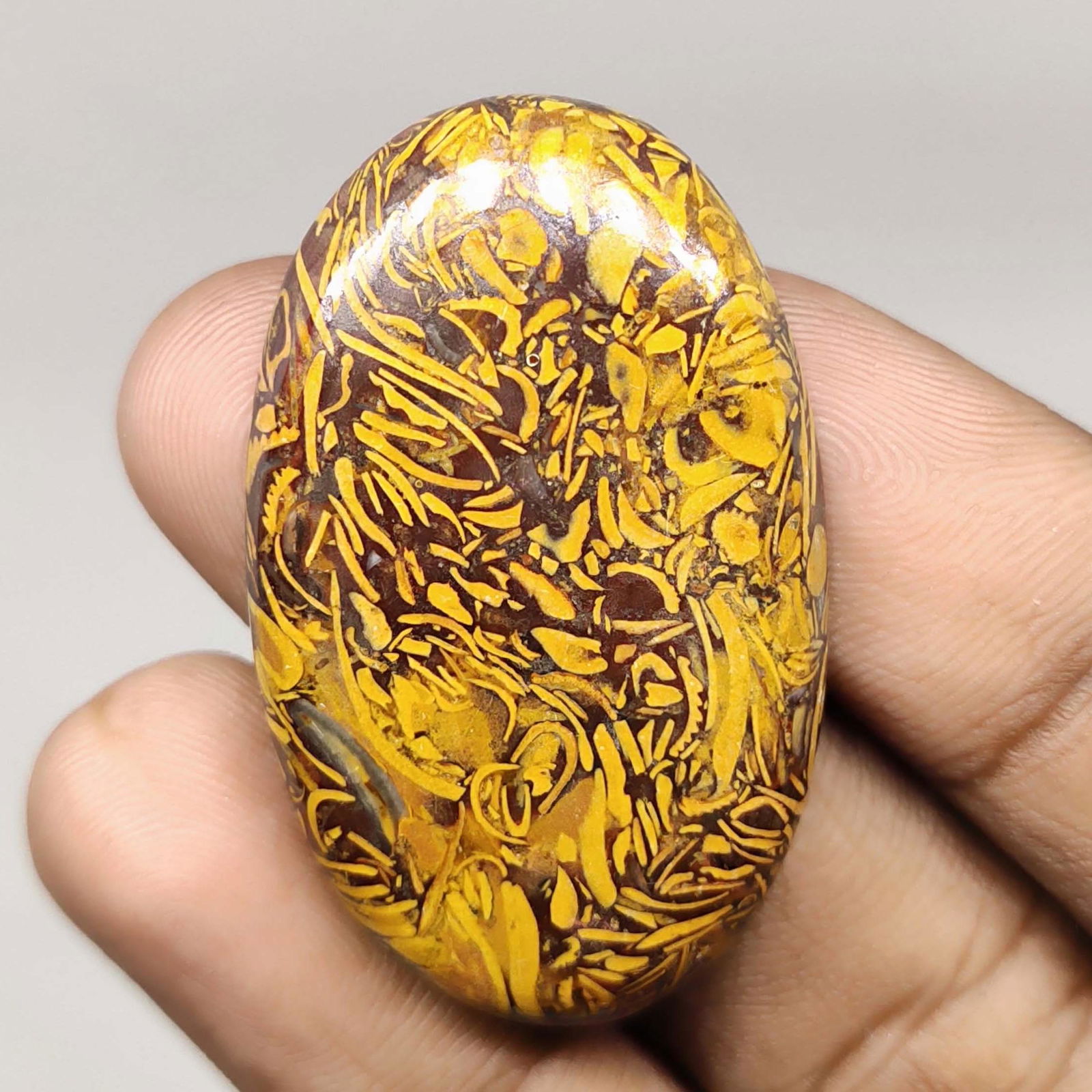 50.50 Natural Mariam Jasper Pair (1 of 1)
