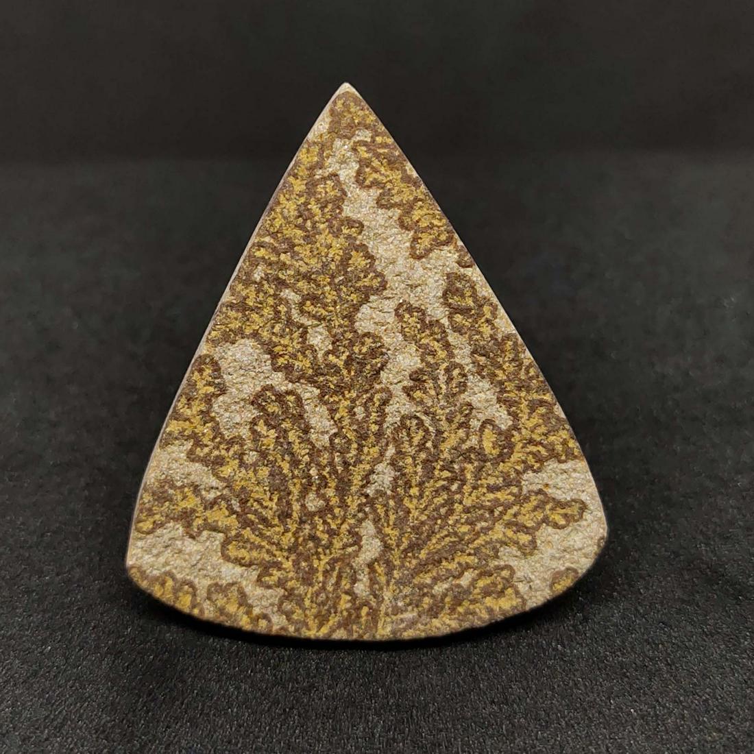 27.95 ct Natural Psilomelane (1 of 2)