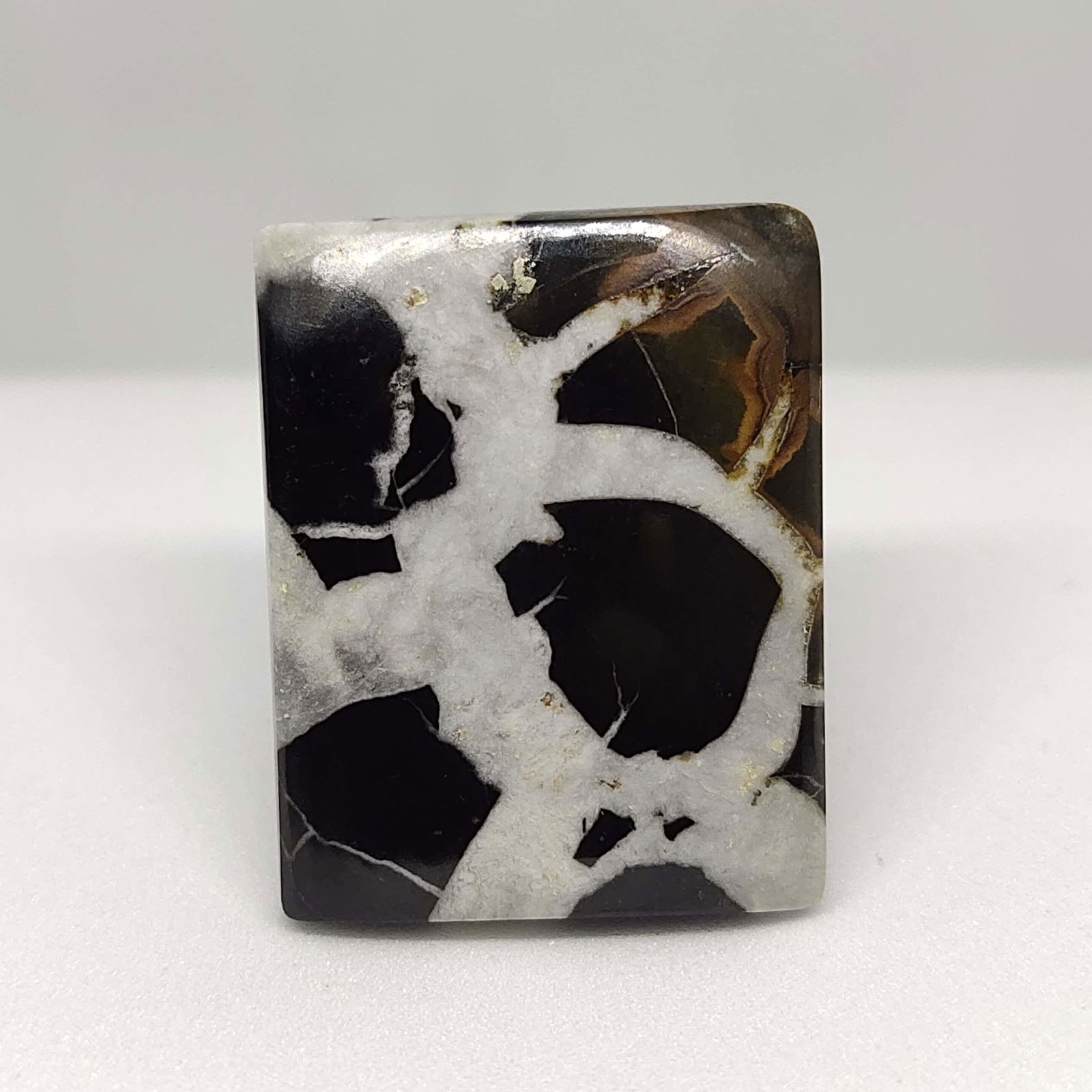 37.00 ct Natural Septarian (1 of 2)