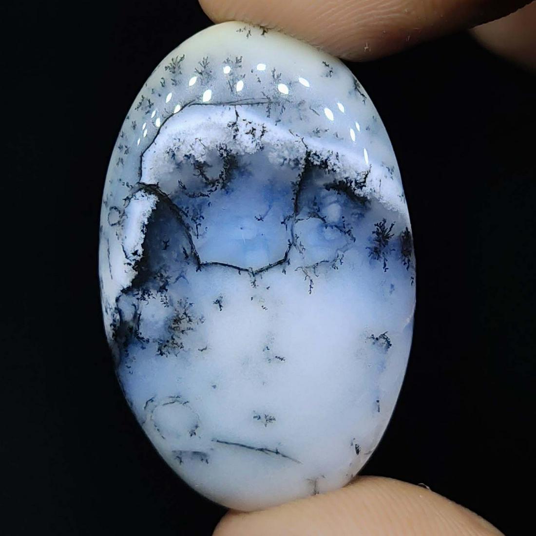 32.15 ct Natural Dendrite Opal (1 of 1)