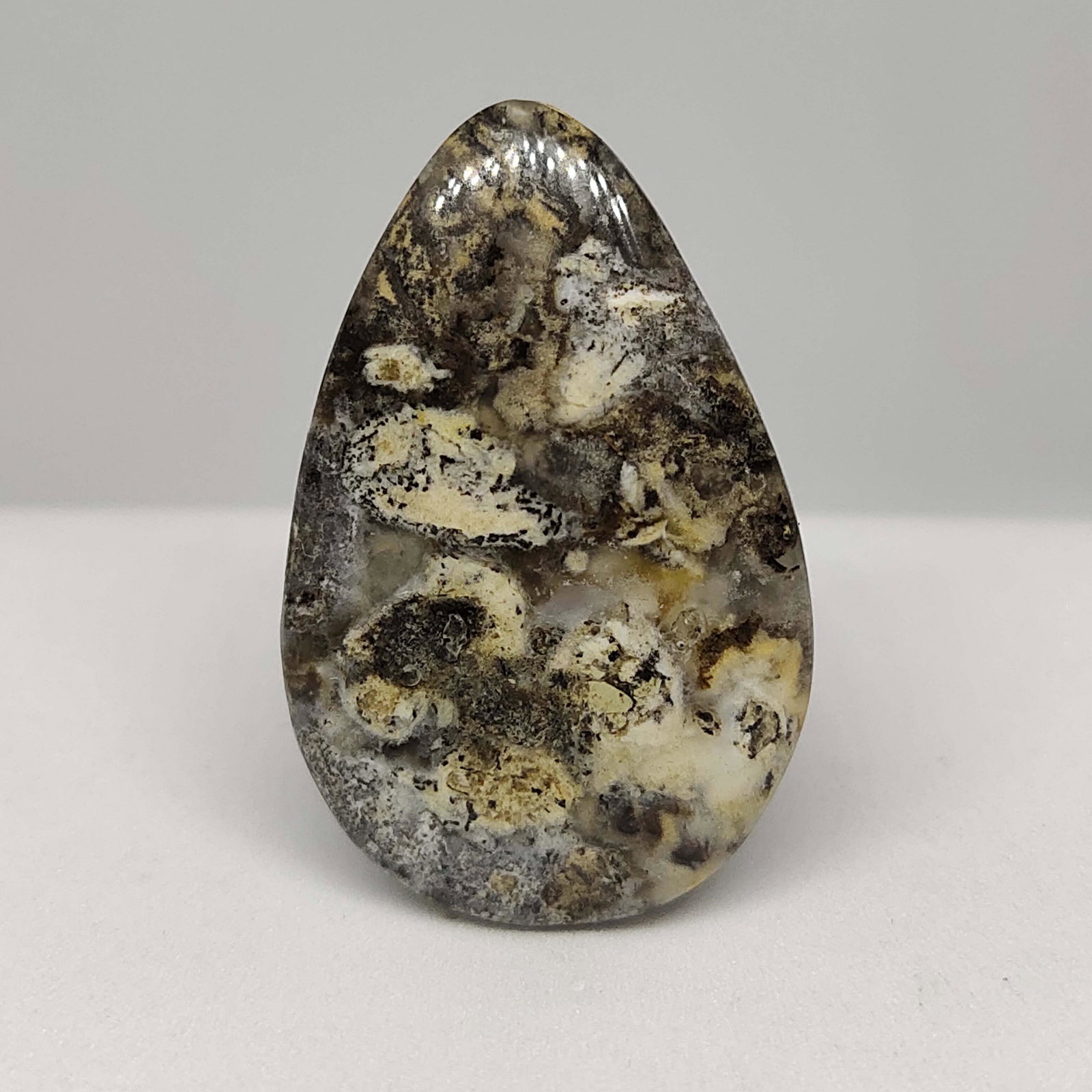 27.70 ct  Natural Tiger Dendrite Agate (1 of 1)
