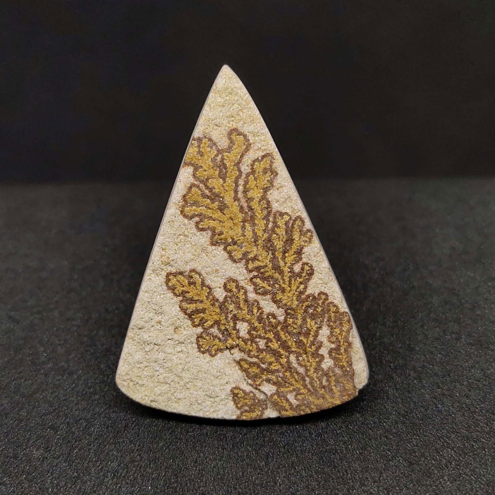 30.40 ct Natural Psilomelane (1 of 2)