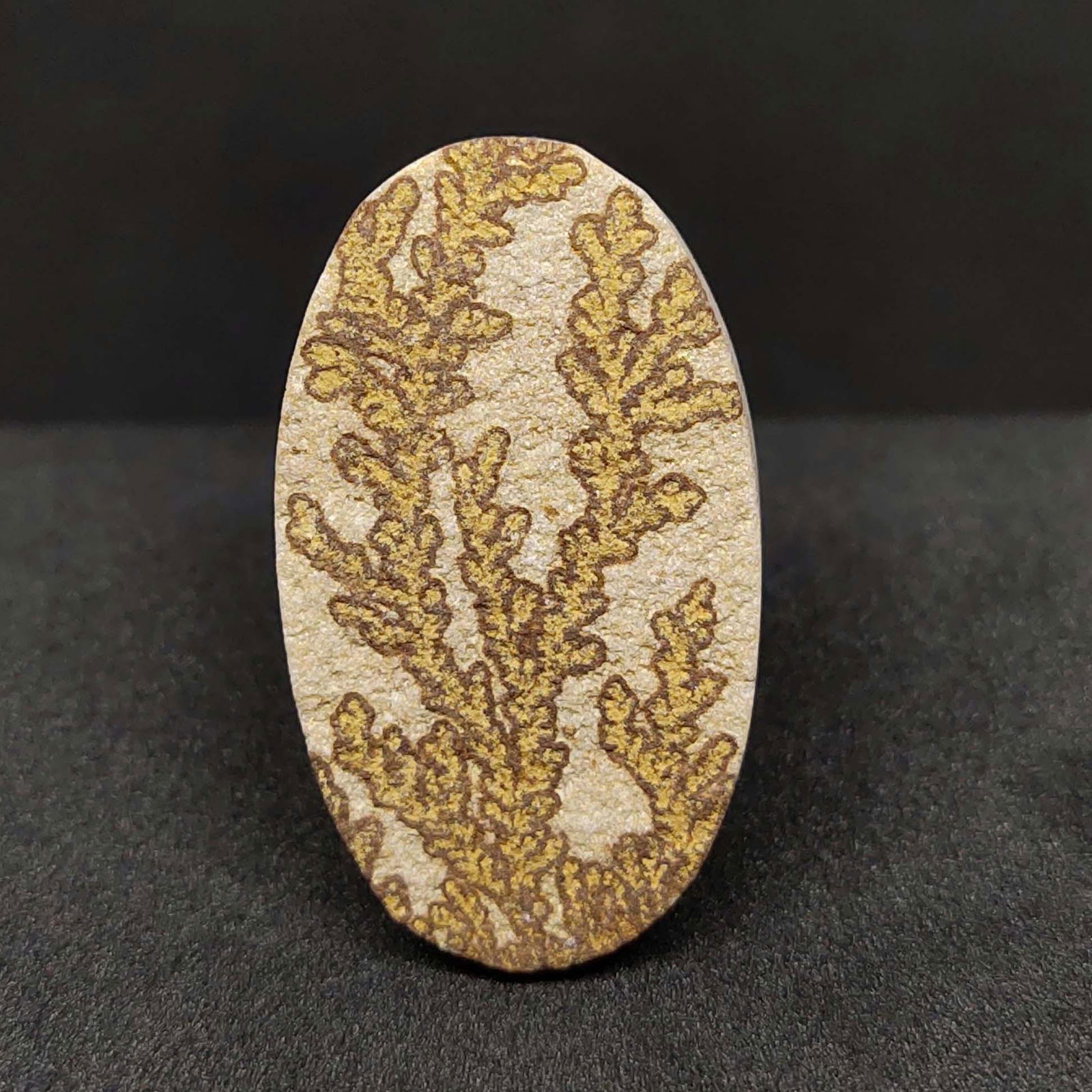 30.30 ct Natural Psilomelane (1 of 2)