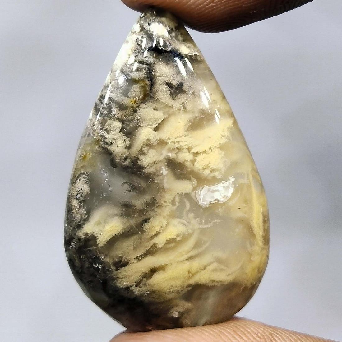 33.50 ct  Natural Tiger Dendrite Agate (1 of 2)
