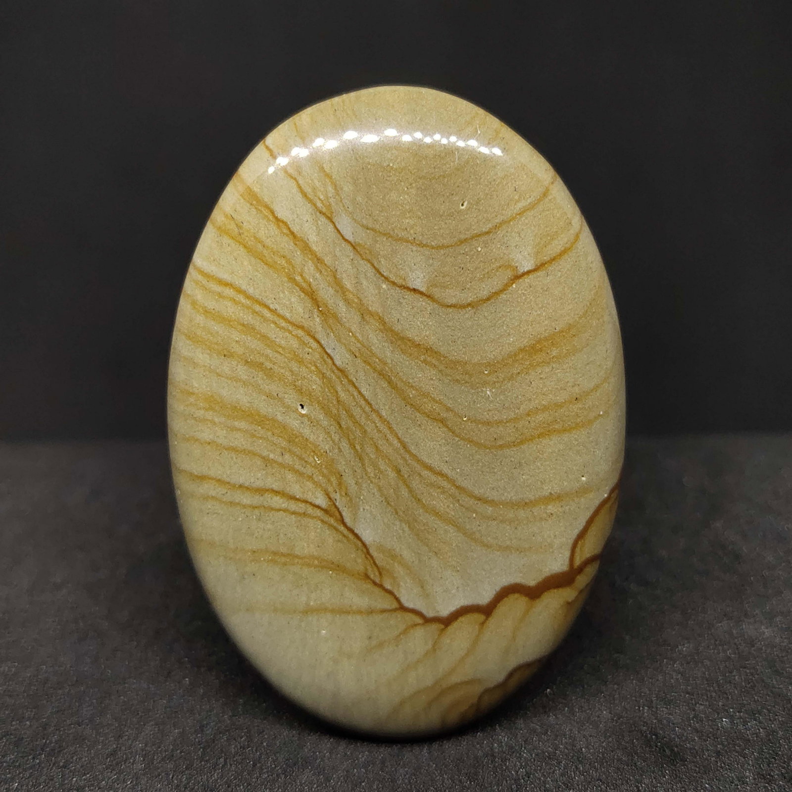 63.00 ct Natural Polygram Jasper (1 of 2)