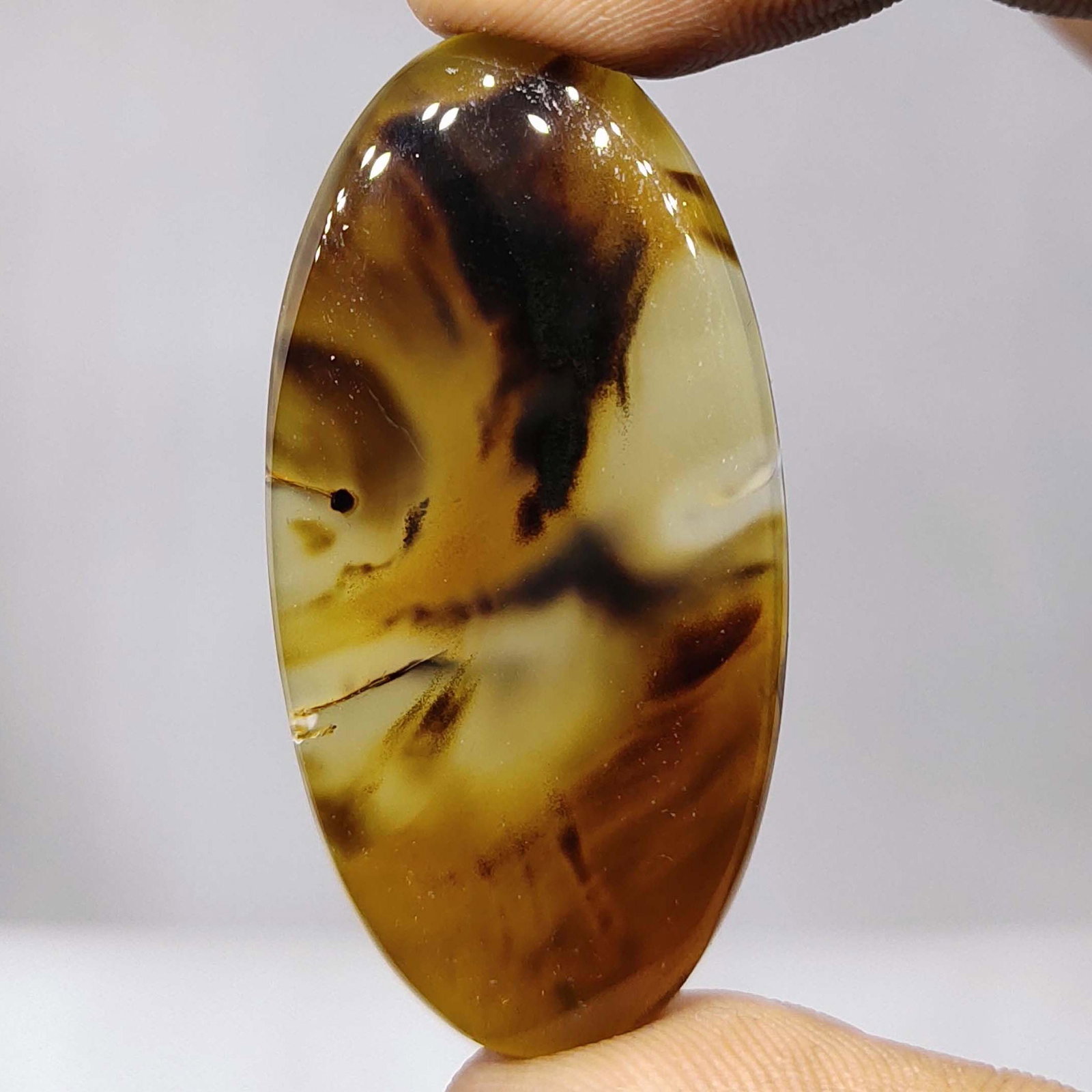 42.20 ct Natural Montana Agate (1 of 1)