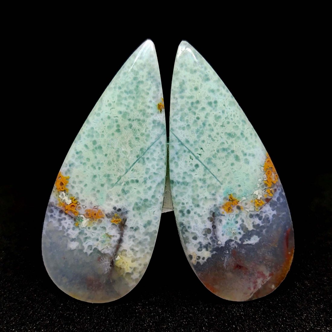 27.55 ct Natural Blue Opalized Wood Pair (1 of 1)